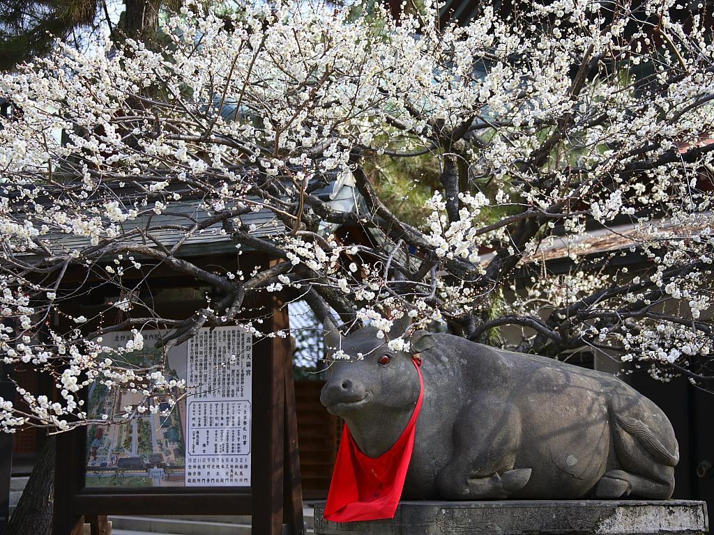 Guesthouse Iloha Kyoto Eksteriør bilde